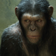 Image for article titled Scientists make monkeys smarter using brain implants. Could you be next?